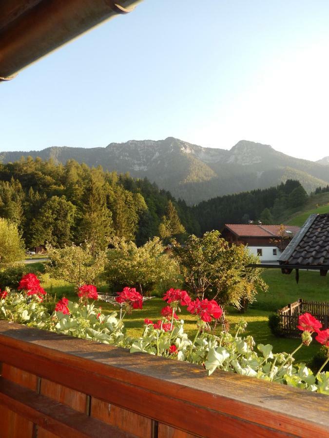 Haus Bergschmied Διαμέρισμα Inzell Εξωτερικό φωτογραφία
