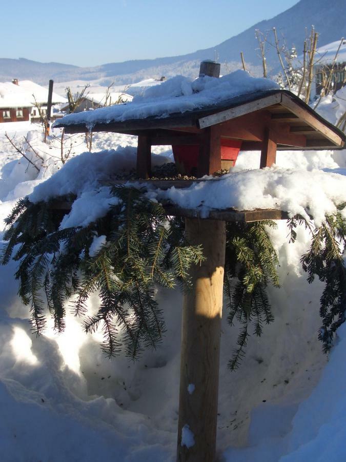 Haus Bergschmied Διαμέρισμα Inzell Εξωτερικό φωτογραφία