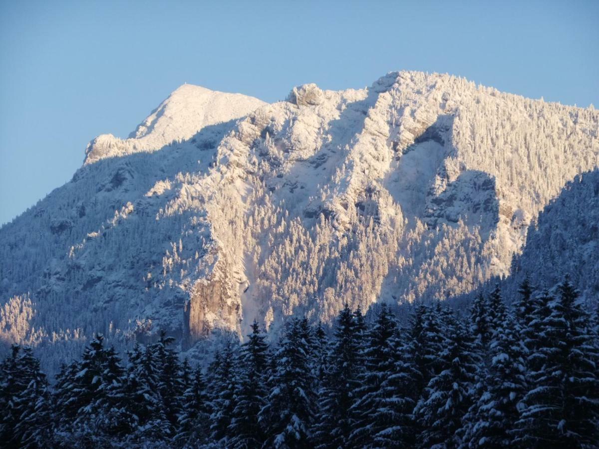Haus Bergschmied Διαμέρισμα Inzell Εξωτερικό φωτογραφία